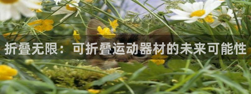 征途国际神州:折叠无限:可折叠运动器材的未来可能性