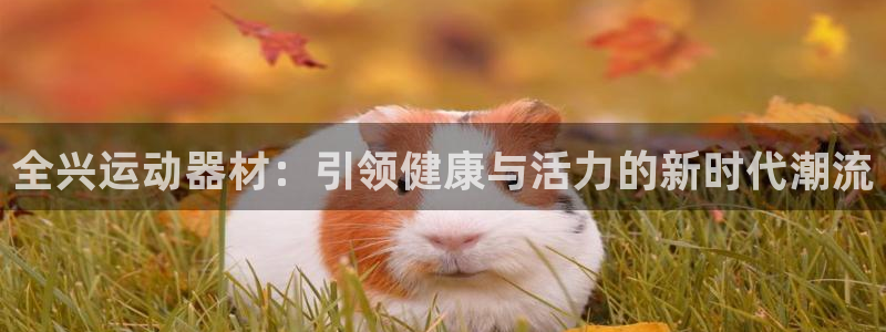 征途国际娱乐:全兴运动器材:引领健康与活力的新时代潮流