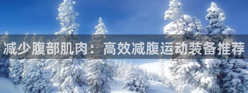 征途国际代理:减少腹部肌肉:高效减腹运动装备推荐